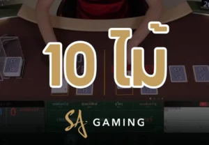 การจัดทุนบาคาร่า