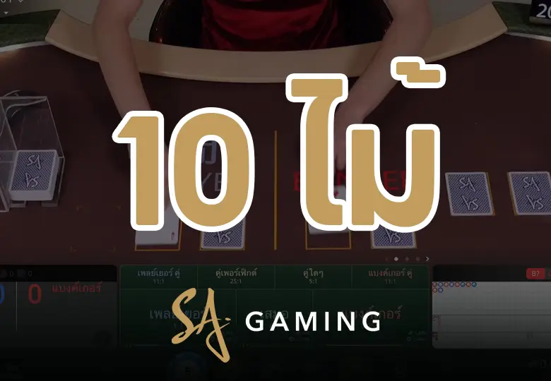 การจัดทุนบาคาร่า