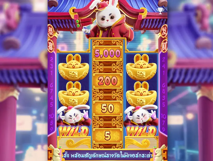 Fortune Rabbit