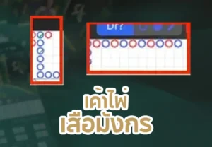 เค้าไพ่เสือมังกร