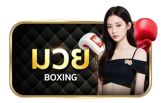 แทงมวย