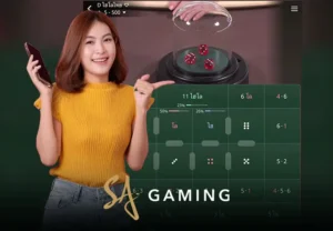 วิธีเล่นไฮโล SA